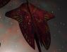 Ammet Fleet (80K)