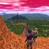 The Forest and The City (92K)